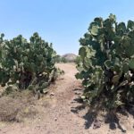 Peramide de la Luna y Sol