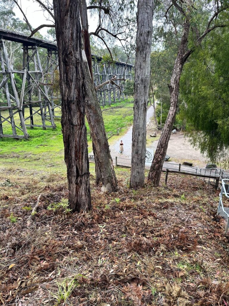 Activity gallery image