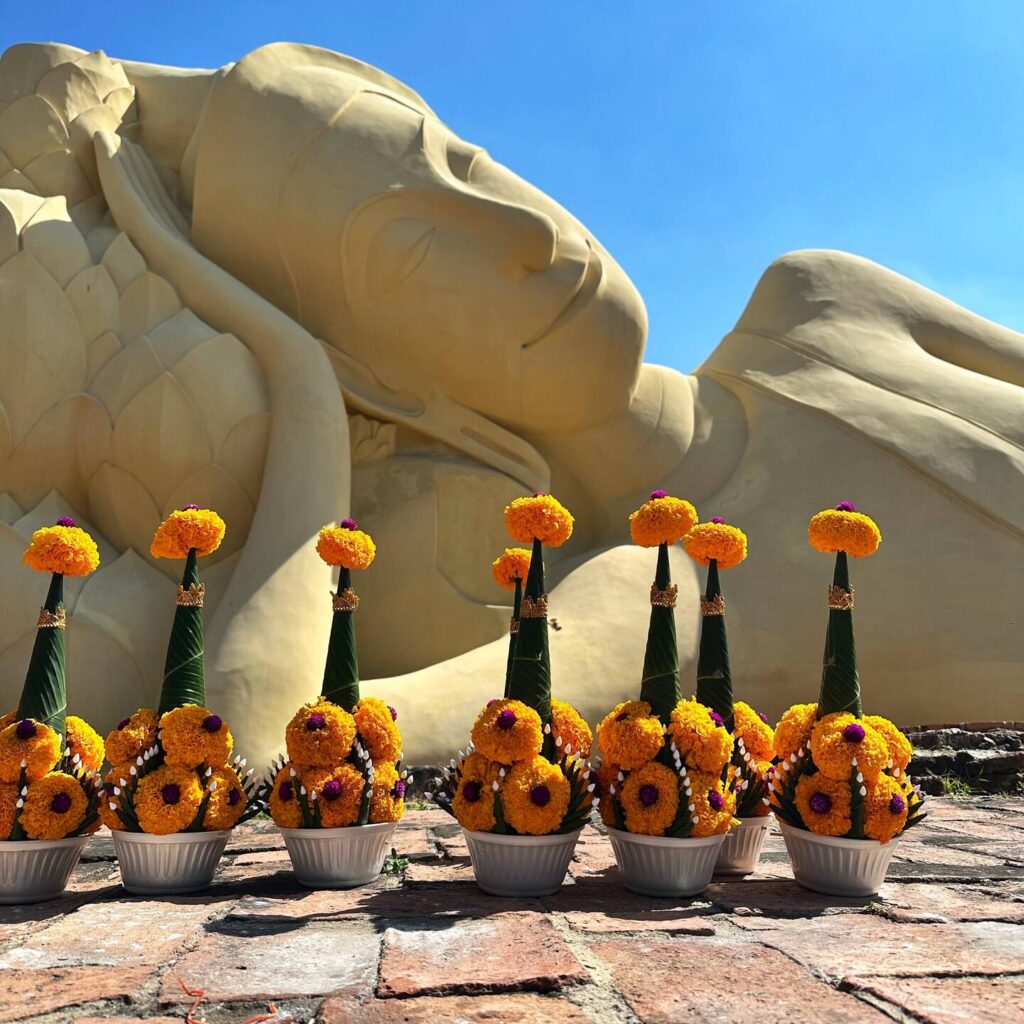 Activity gallery image