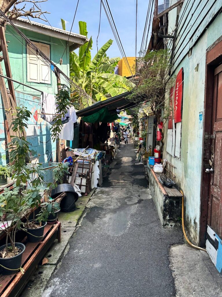 Activity gallery image