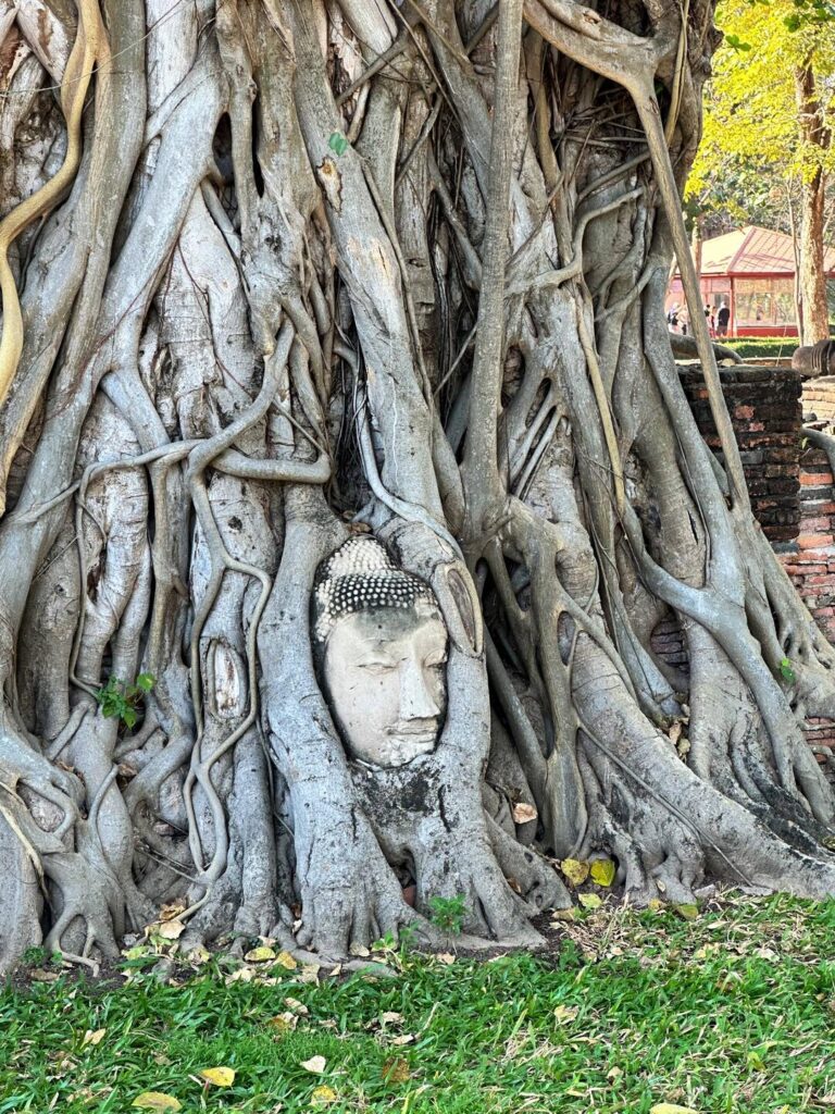 Activity gallery image