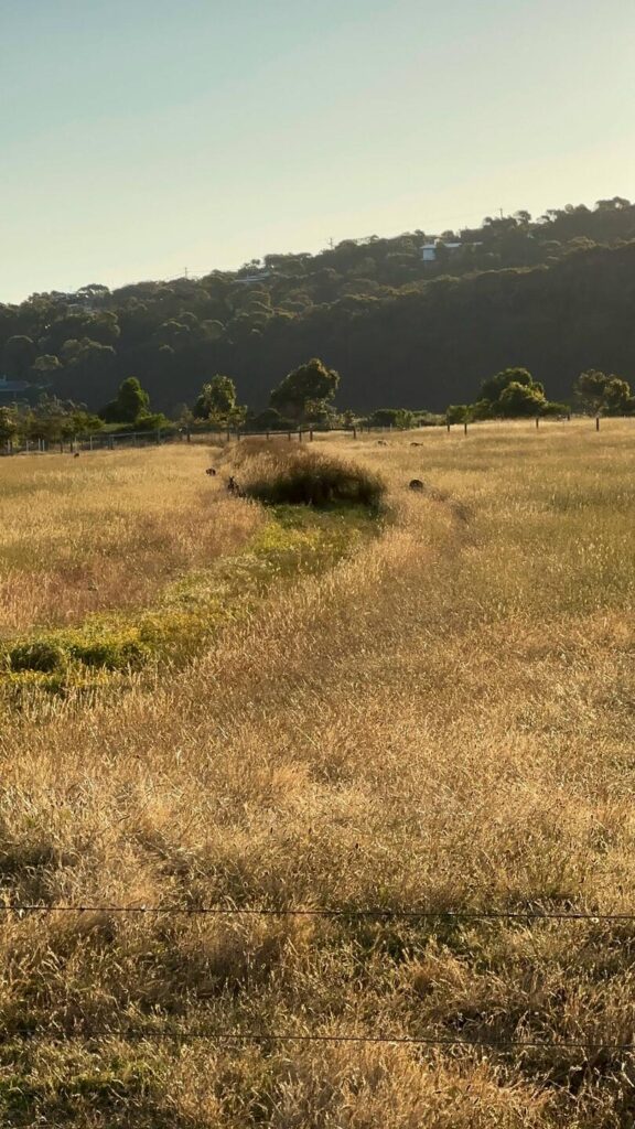 Activity gallery image