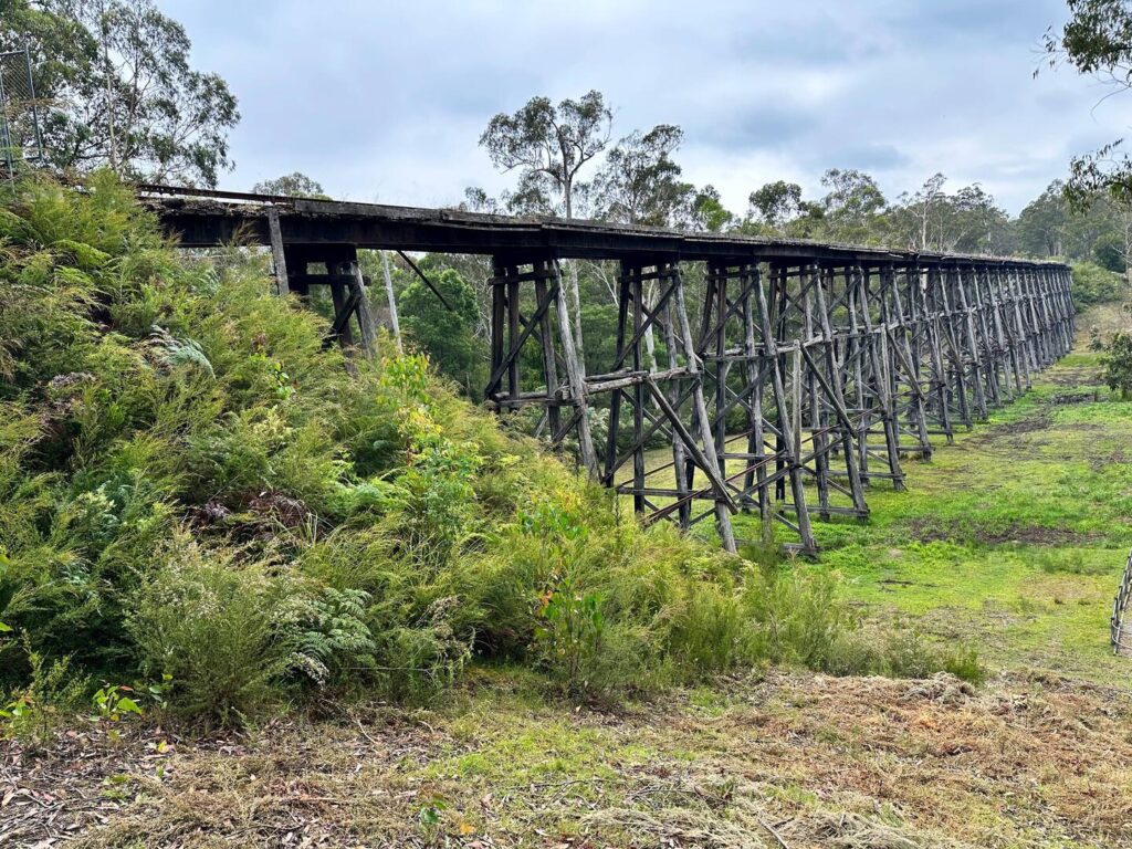 Activity gallery image