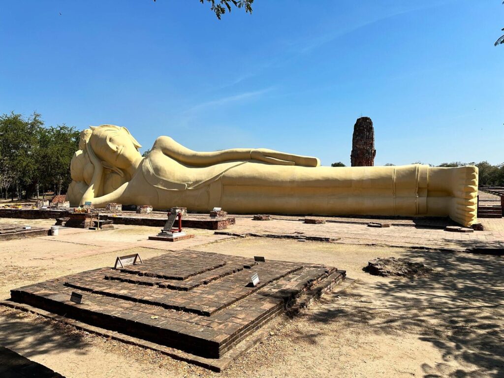 Activity gallery image