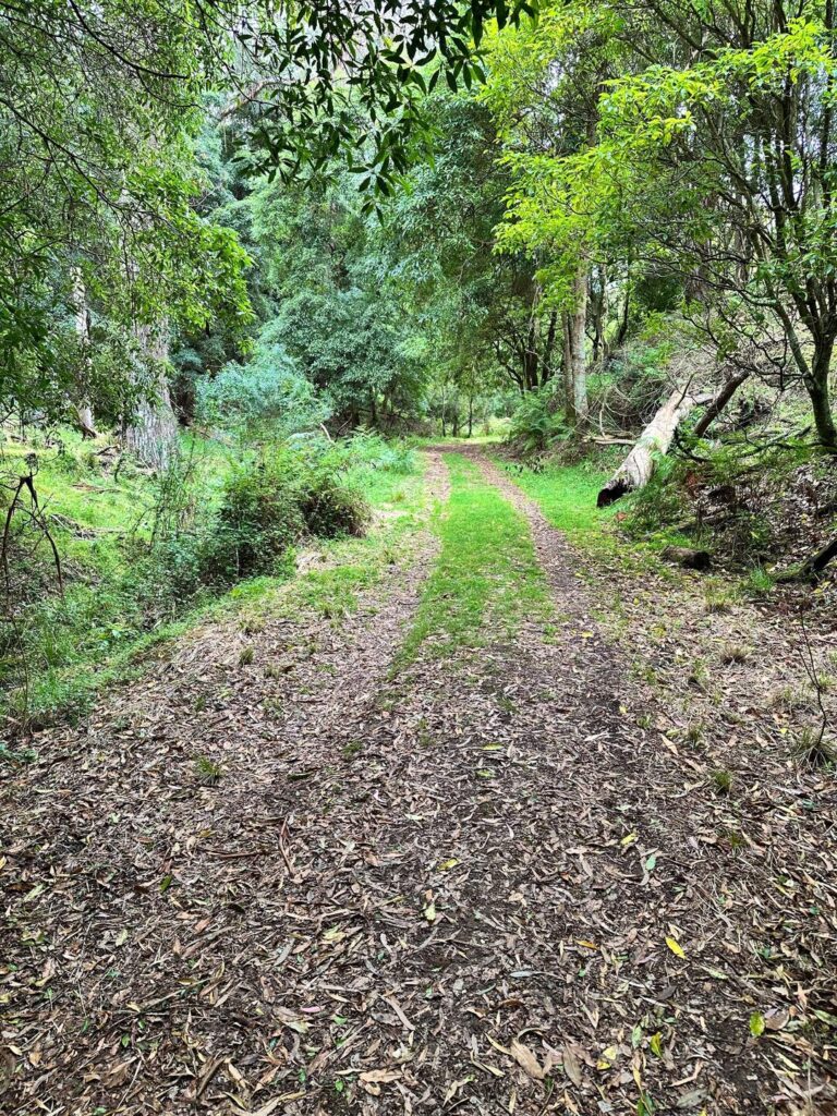 Activity gallery image